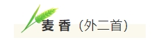 寰?俊鎴?浘_20240716155149.png